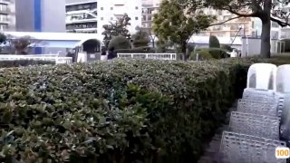 麻姑喜欢被虐的少妇